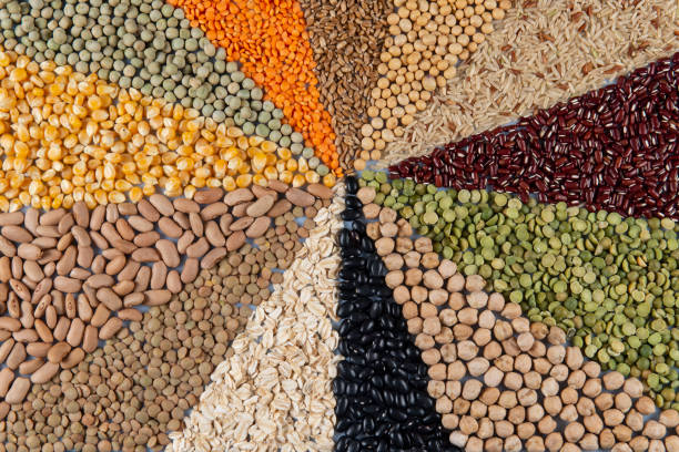 The Matel International - WhatsApp Image 2025-09-29 at 10.23.52 AM (2)